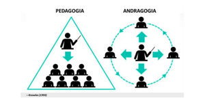 Andragogia Andragogia